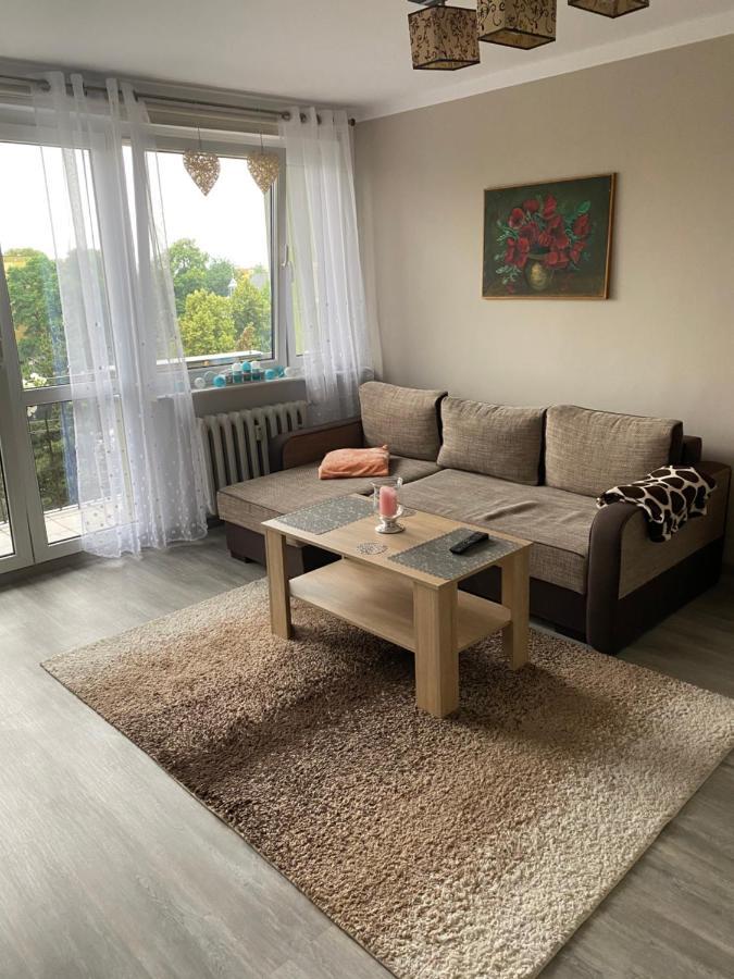Przytulne Mieszkanie 2 Pokojowe Leszno  Εξωτερικό φωτογραφία